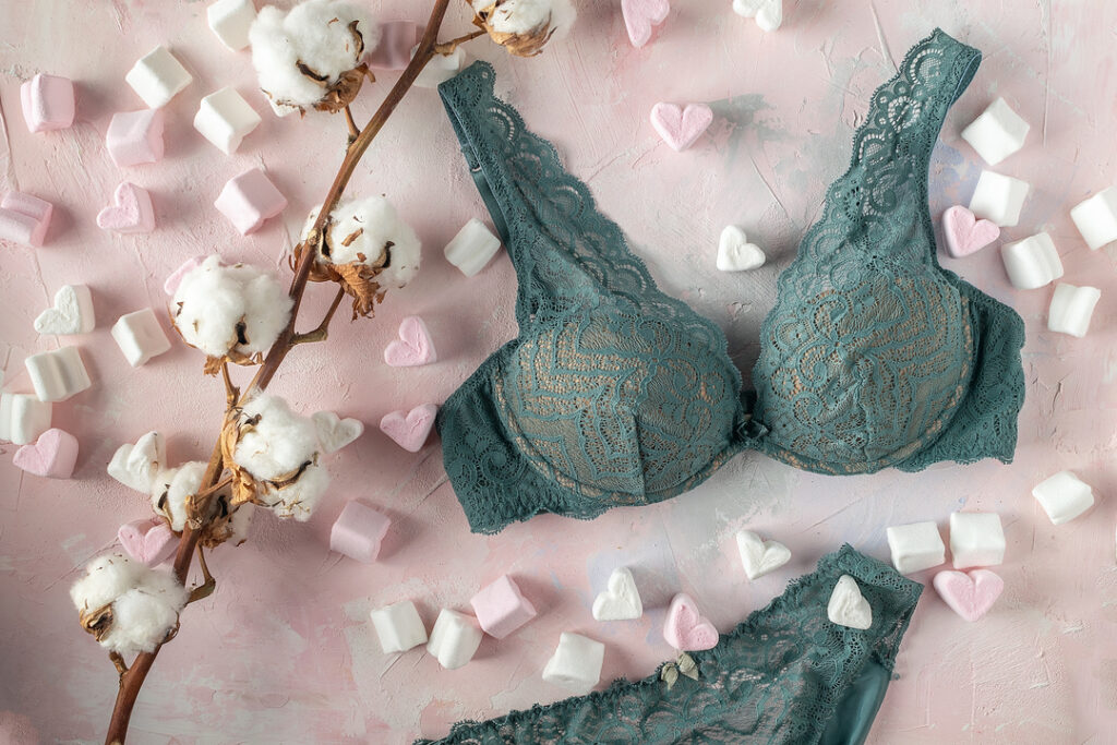 Conheça 12 Tipos De Lingerie Que Toda Mulher Deve Ter Styllus 8297